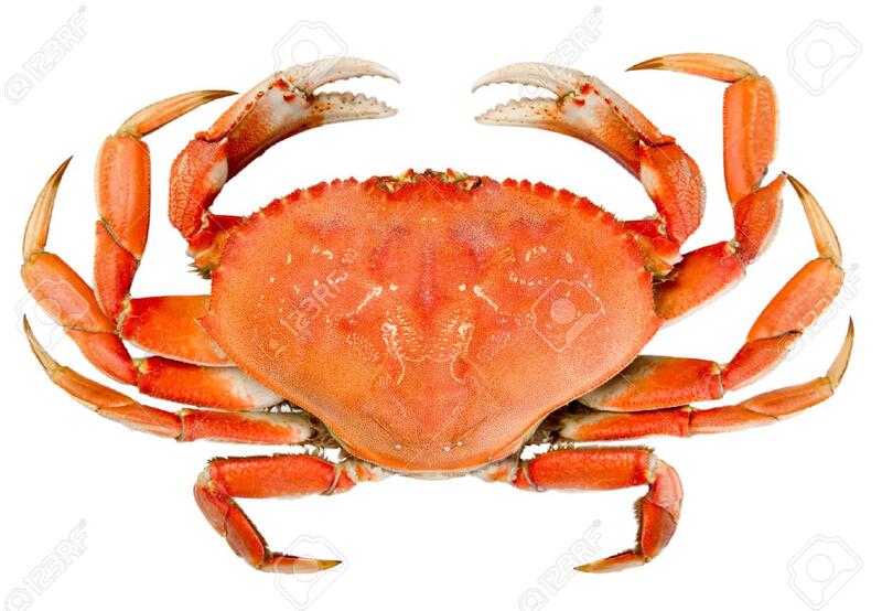 1Lb Dungeness